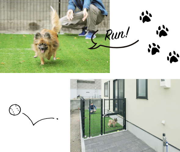 写真：清田M様邸の中庭で走る犬と中庭