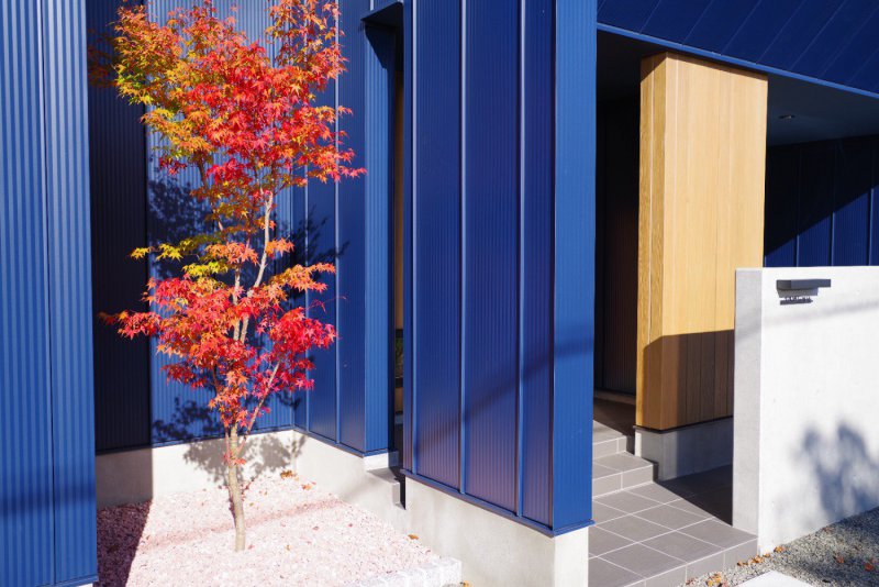 四季を感じるシンボルツリー